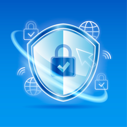 The Anatomy of a Secure Website: Essential Features Every Business Needs